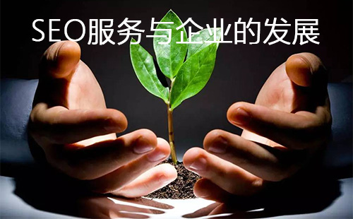 SEO服务能给企业带来什么?(图1) SEO服务能给企业带来什么?(图1)
