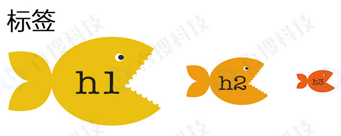 H1标签对SEO有什么价值？H1怎么设置(图1)