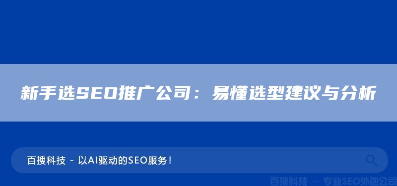 新手选SEO推广公司：易懂选型建议与分析(图1)