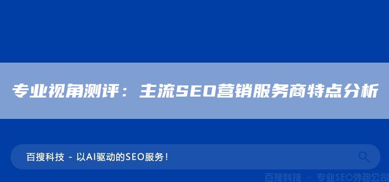 专业视角测评：主流SEO营销服务商特点分析(图1)